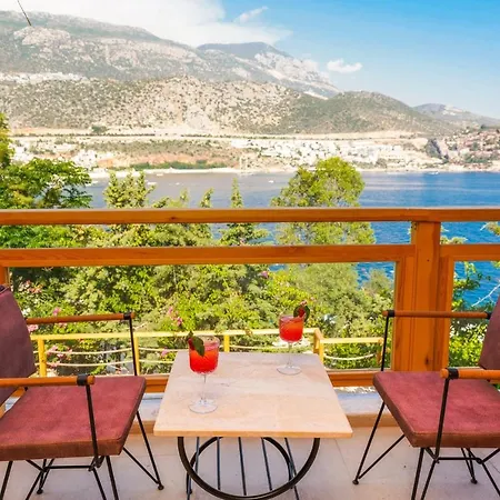 Vila Sidyma Villas *